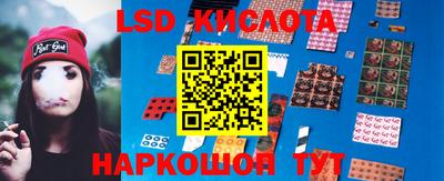 гашик Донской