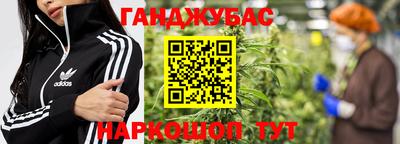 гашик Донской