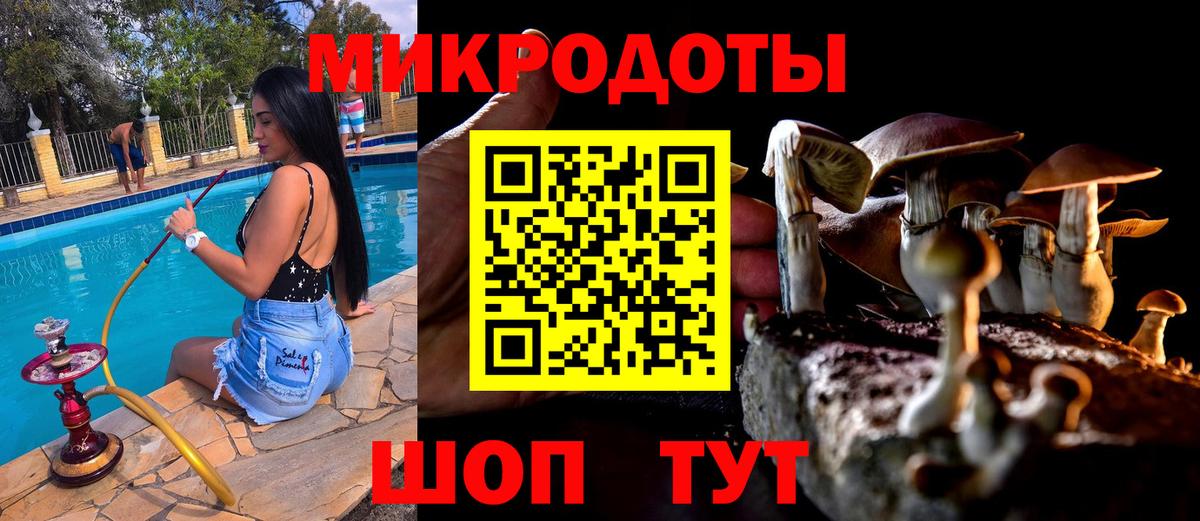 Можайск  Псилоцибиновые грибы мухоморы  Псилоцибиновые грибы Cubensis  Вход с VPN 